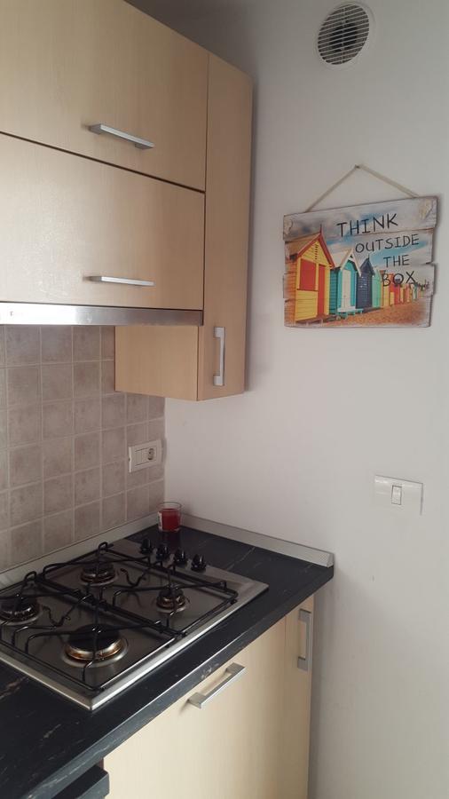Ruud Vox Apartment Timisoara Bagian luar foto